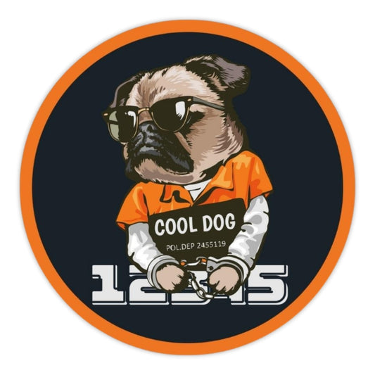 COOL DOG